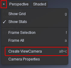Camera Creation from View Port